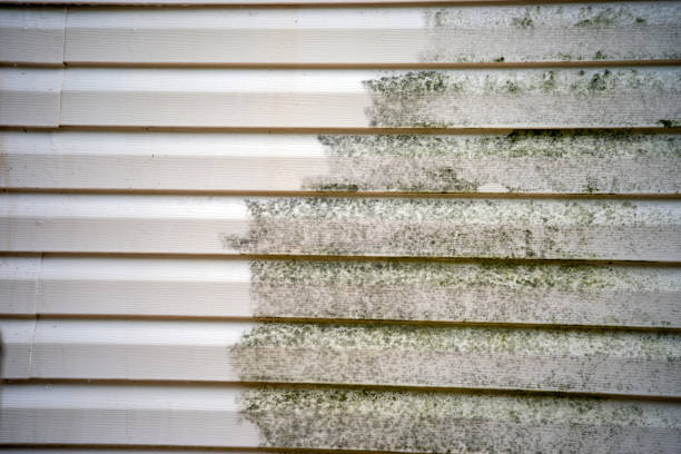 Clintwood, VA Siding Installation & Repair Company