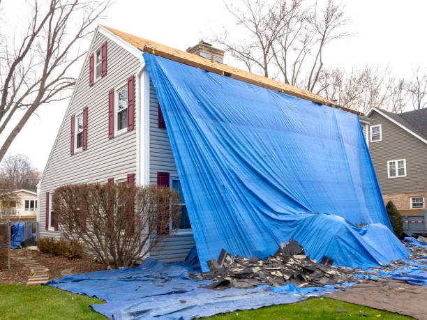 Best Brick Veneer Siding  in Clintwood, VA